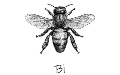 Blåbærjordbi Andrena lapponica