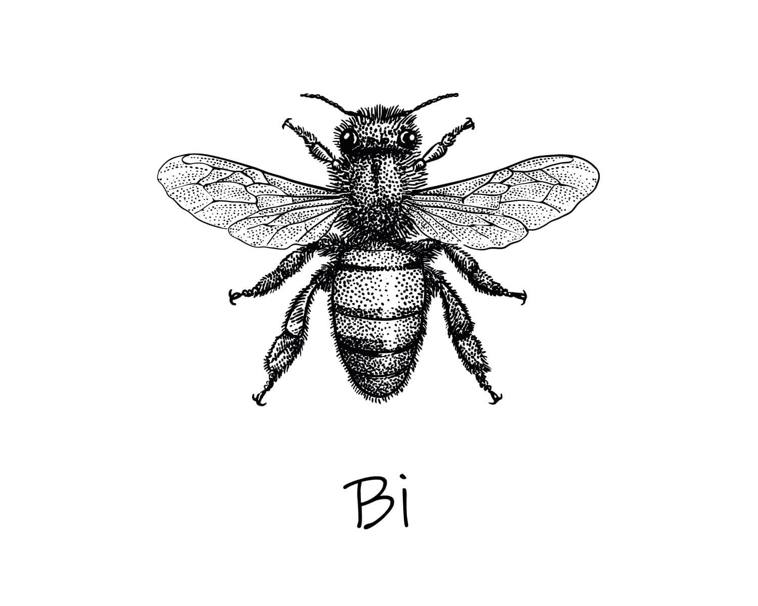 Billede til Bi der ikke er foto af