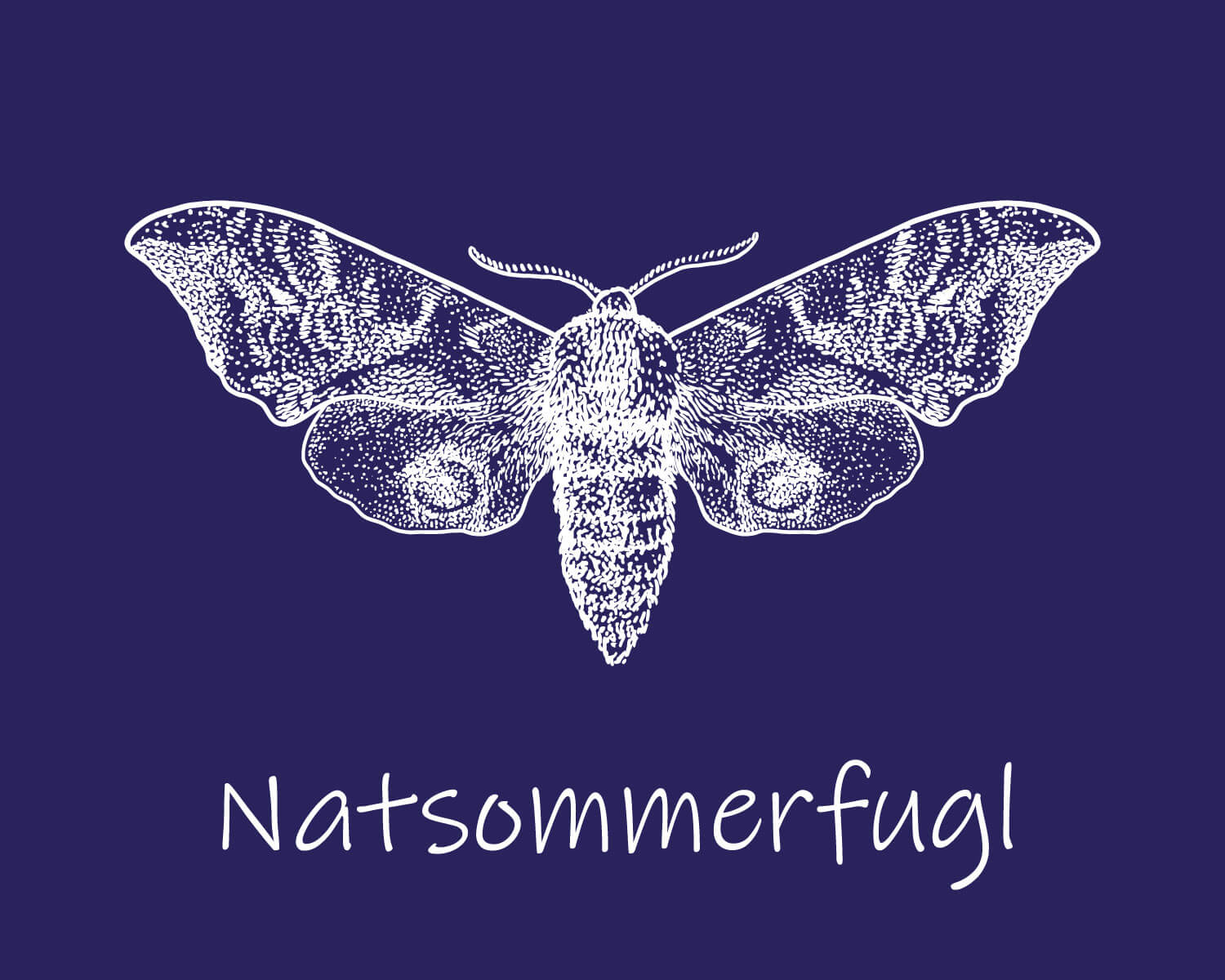 Billede til Natsommerfugl der ikke er foto af