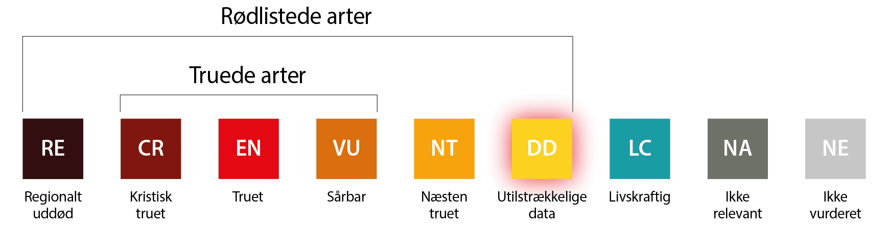 rl_dd rl dd