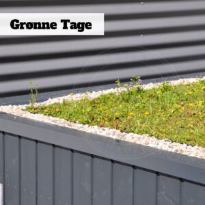 Blomsterblanding Grønne Tage, en god måde at understøtte insekterne