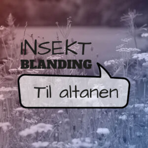 Frø blanding til insekter - til altanen