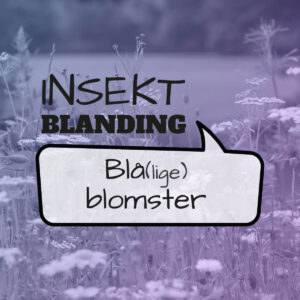 Frø blanding til insekter - blå blomster