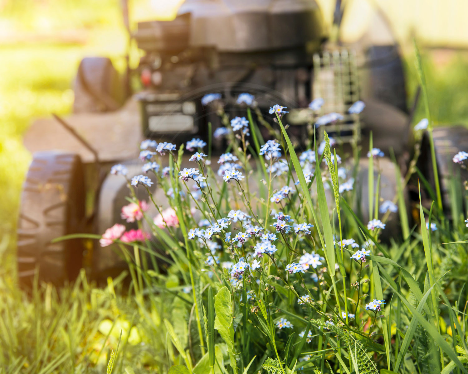 Hvordan skal der vedligeholdes områder med biodiversitet, ved erhvervs- og beboelsesejendomme