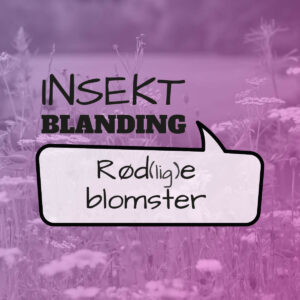 Frø blanding til insekter - røde blomster