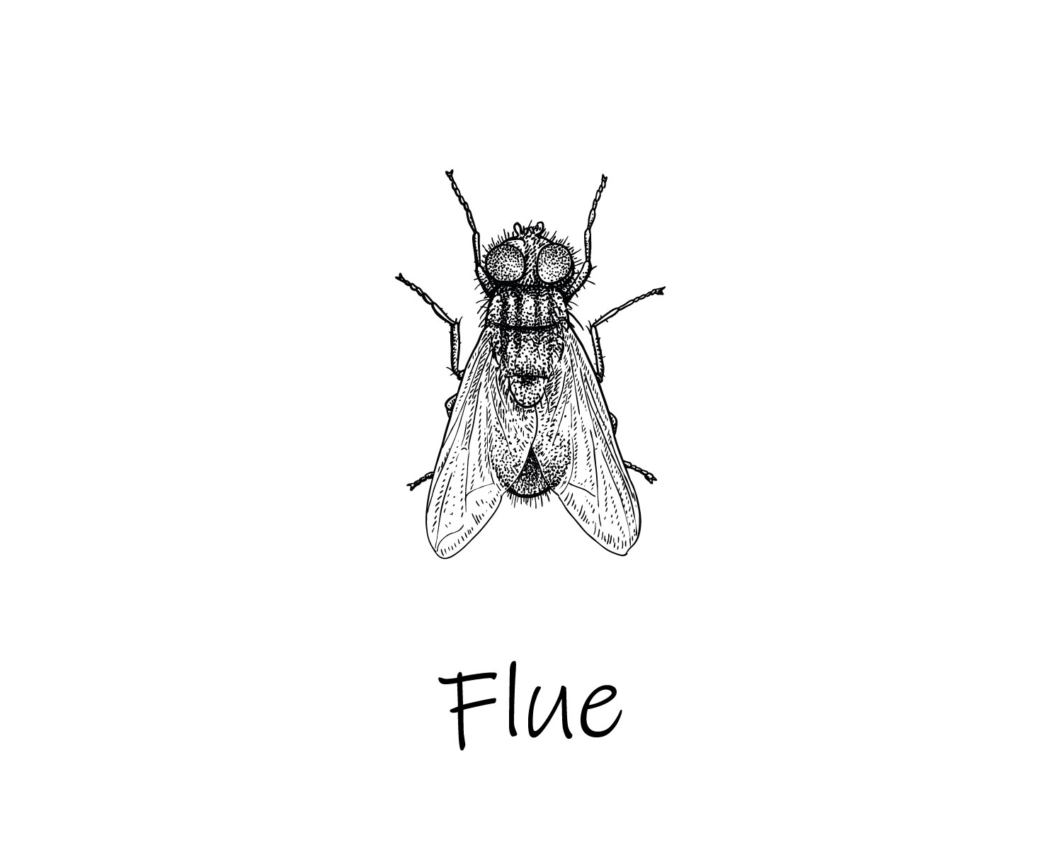 Flue illustration