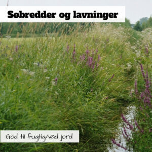 Blomsterblanding til søbredder og lavninger, samt steder med våd til fugtig jord